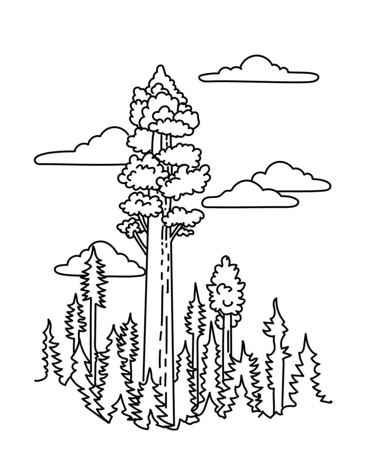 arbre sherman général dans le parc national de sequoia californie dessin d'art en ligne monoline vecteur