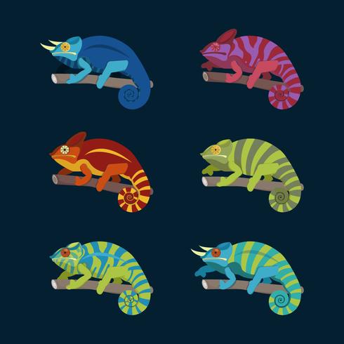Illustration vectorielle de caméléon coloré Collection vecteur