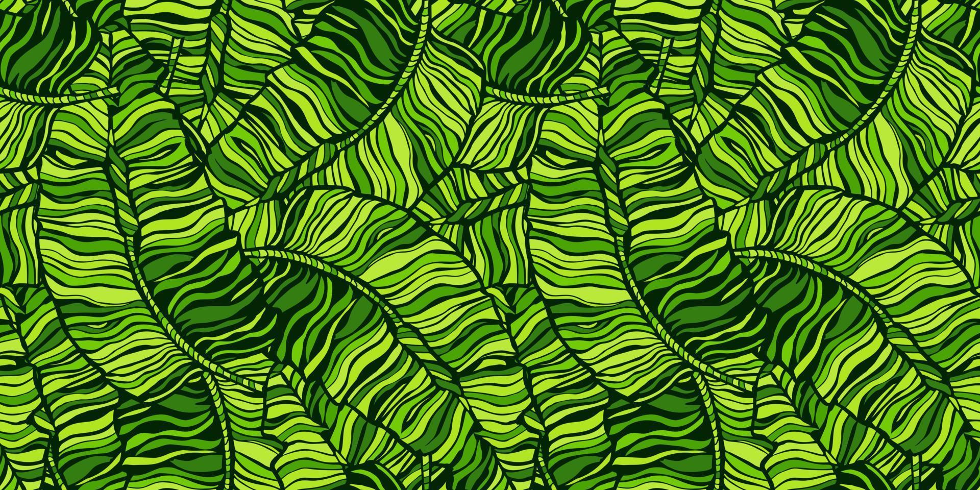 modèle sans couture de feuille de bananier tropical. fond de feuilles de jungle. vecteur