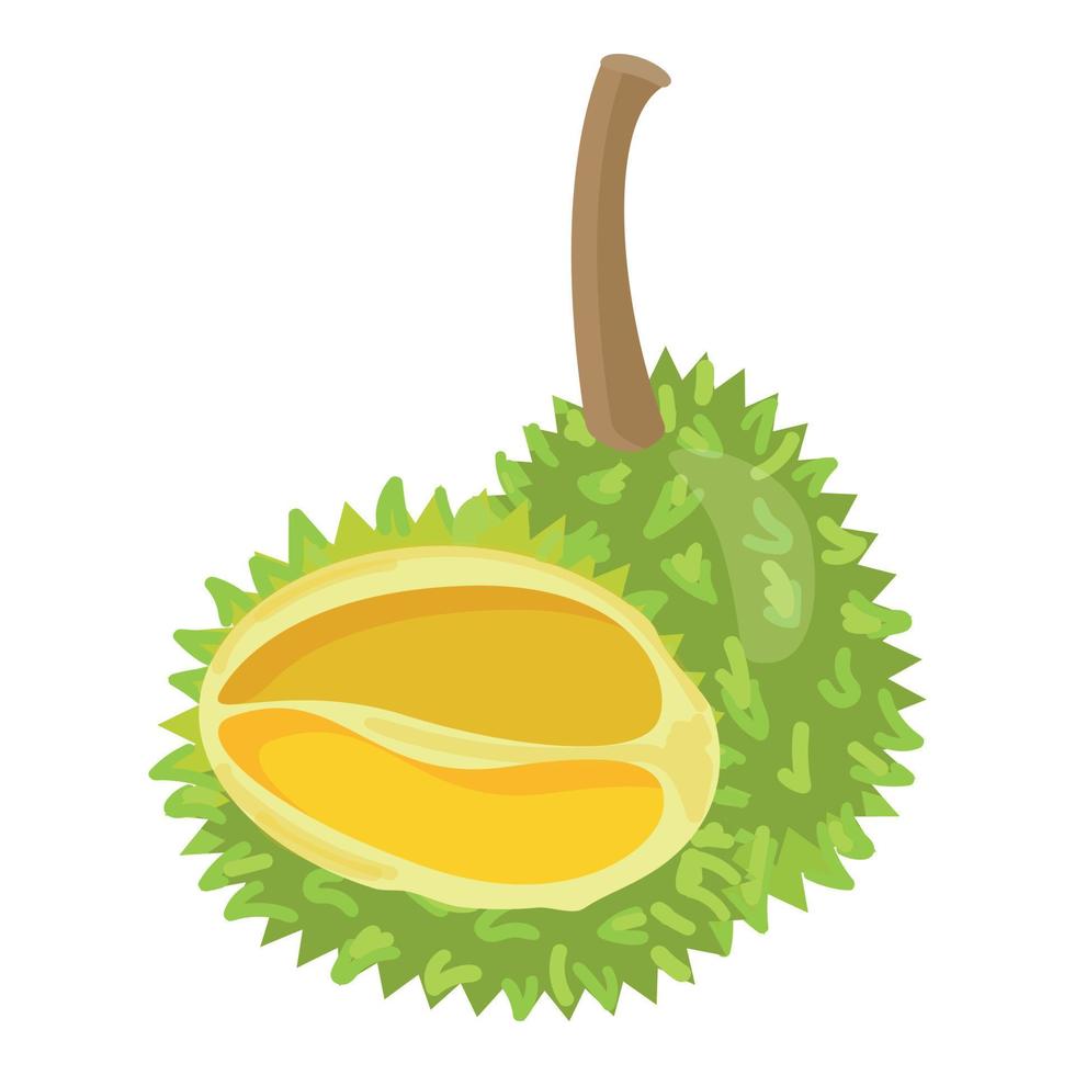 vecteur de dessin animé icône durian asiatique. fruits sucrés