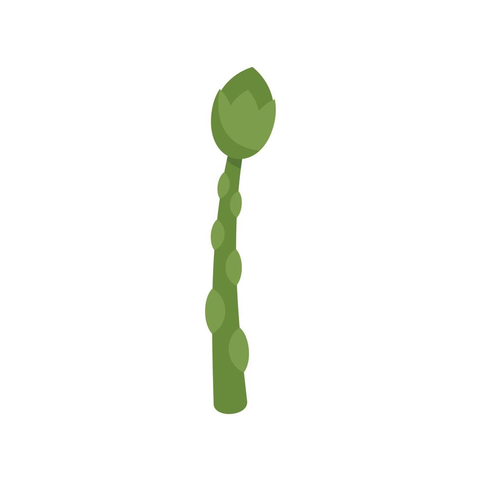 vecteur plat d'icône d'asperges de printemps. plante potagère