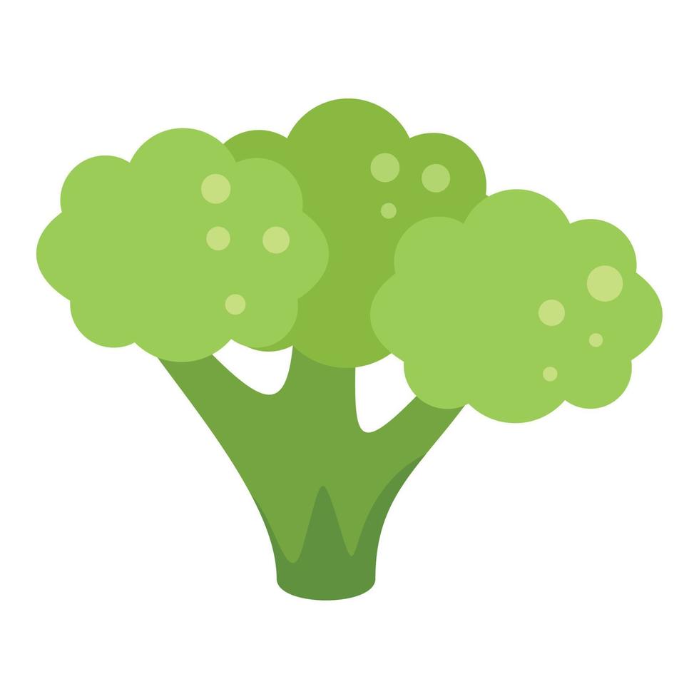 vecteur plat d'icône de tête de brocoli. chou végétal