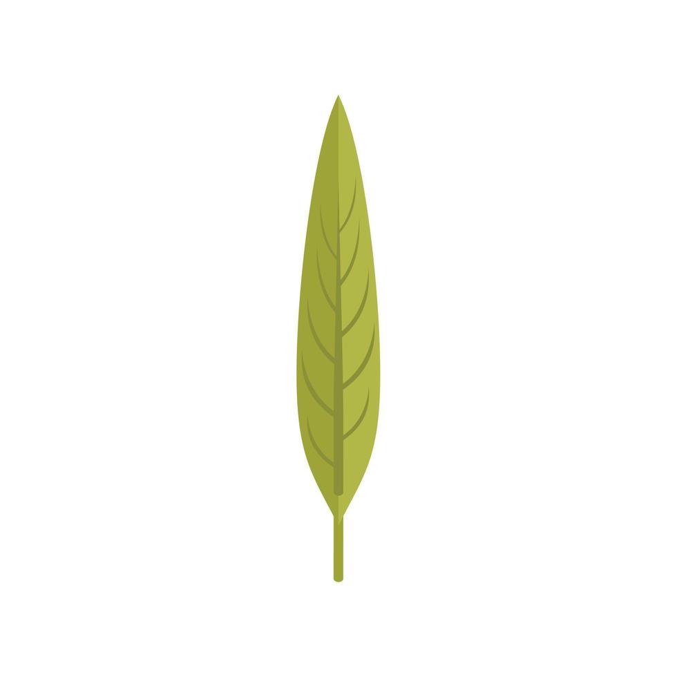icône longue feuille verte vecteur plat. feuillage d'automne