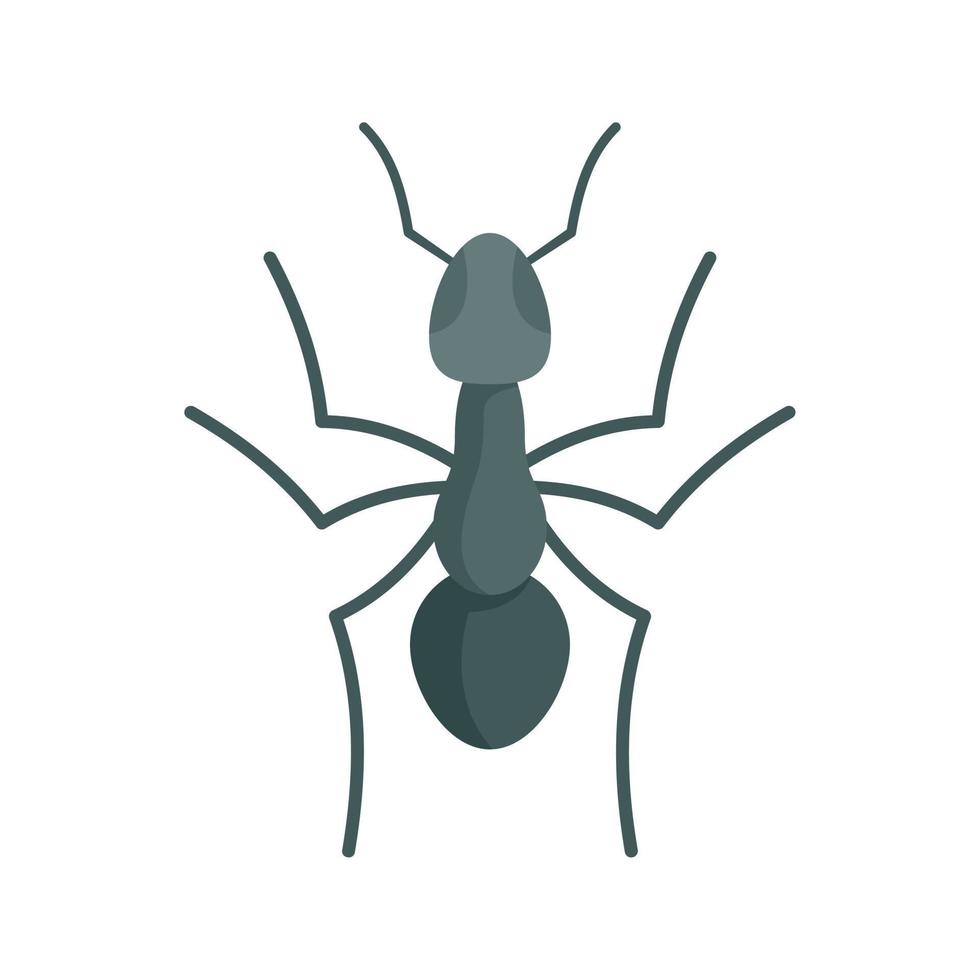 icône de fourmi de travail d'équipe, style plat vecteur