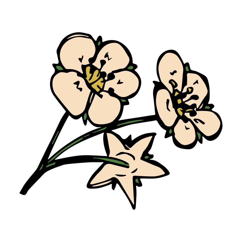 clipart de fleur de fraise de vecteur. illustration de fleur dessinée à la main. pour l'impression, le web, le design, la décoration, le logo vecteur