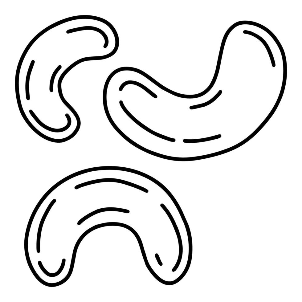 icône de dessin animé linéaire simple noix de cajou dans le style doodle vecteur
