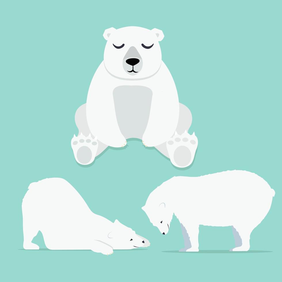 ensemble de mignons ours polaires dans des poses différentes vecteur