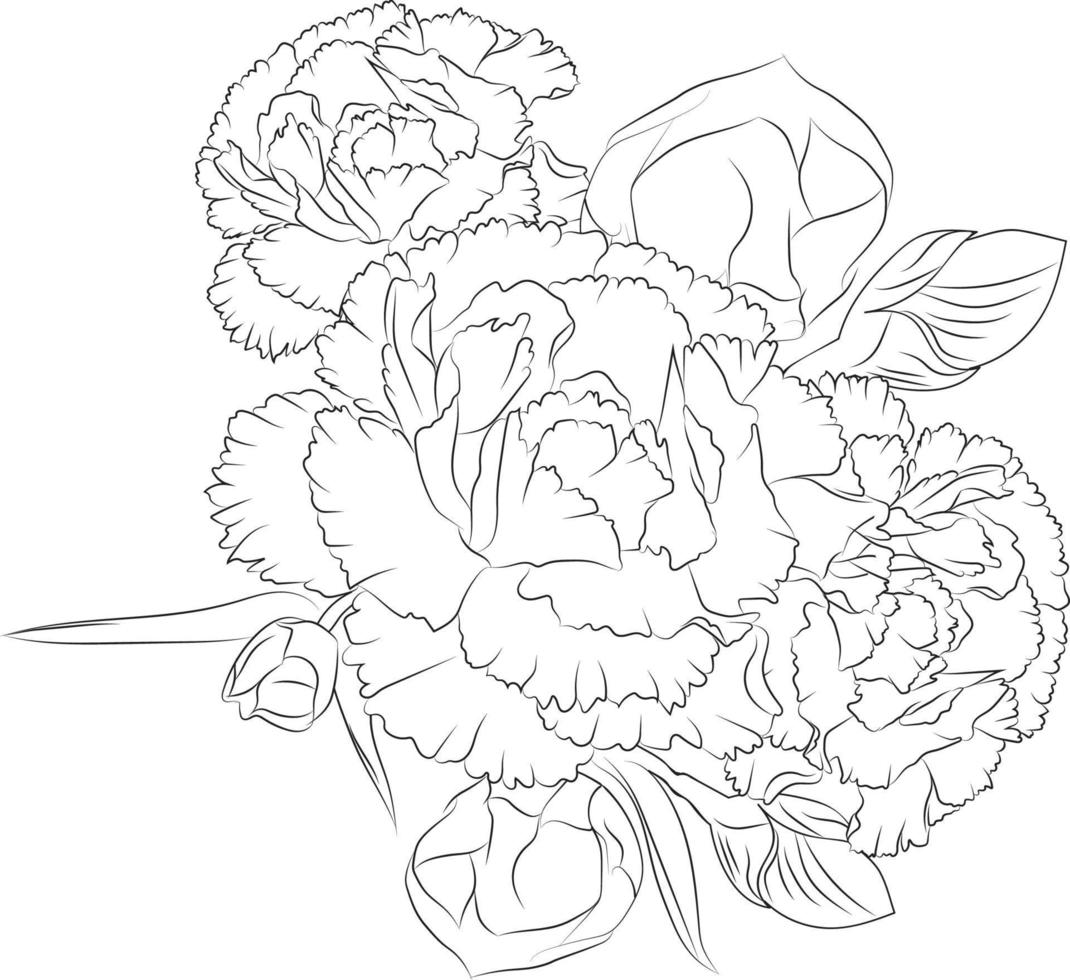 bouquet de fleurs de griffonnage de dessin au trait, joli design. art de croquis facile de fleur de pivoine, bouquets d'art en ligne d'illustration florale dessinée à la main, doodle zentangle, page de coloriage de dessin de tatouage, vecteur