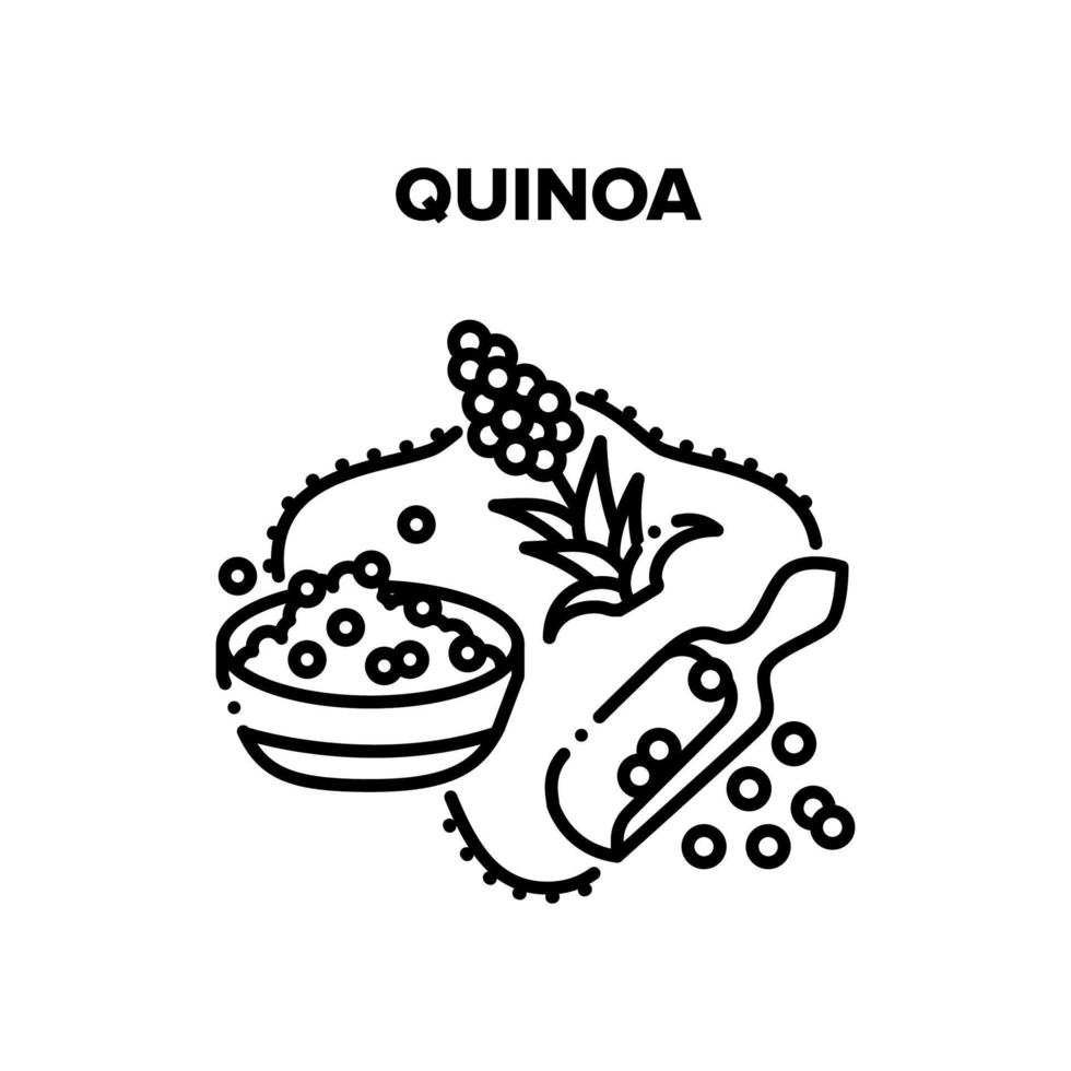illustrations de vecteur de bouillie de quinoa noir