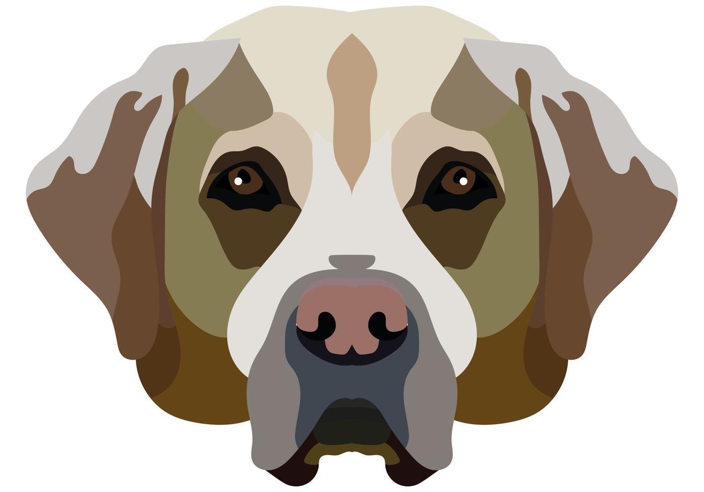 le visage d'un labrador. portrait vectoriel d'une tête de chien isolée sur fond blanc.