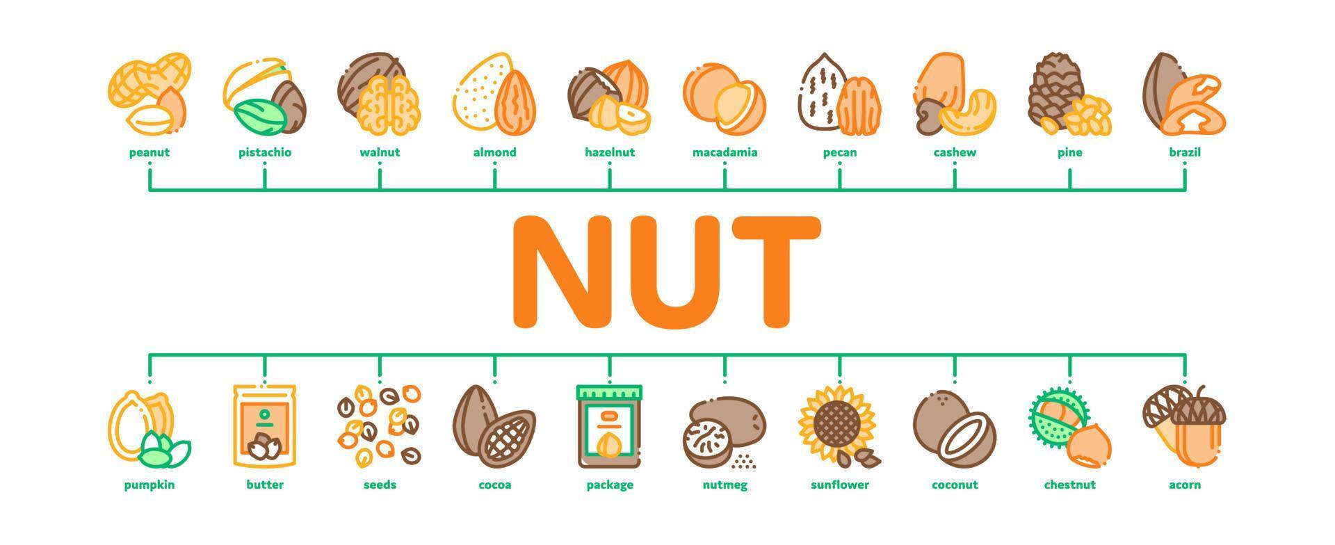 vecteur de bannière infographique minimal différent de nourriture de noix