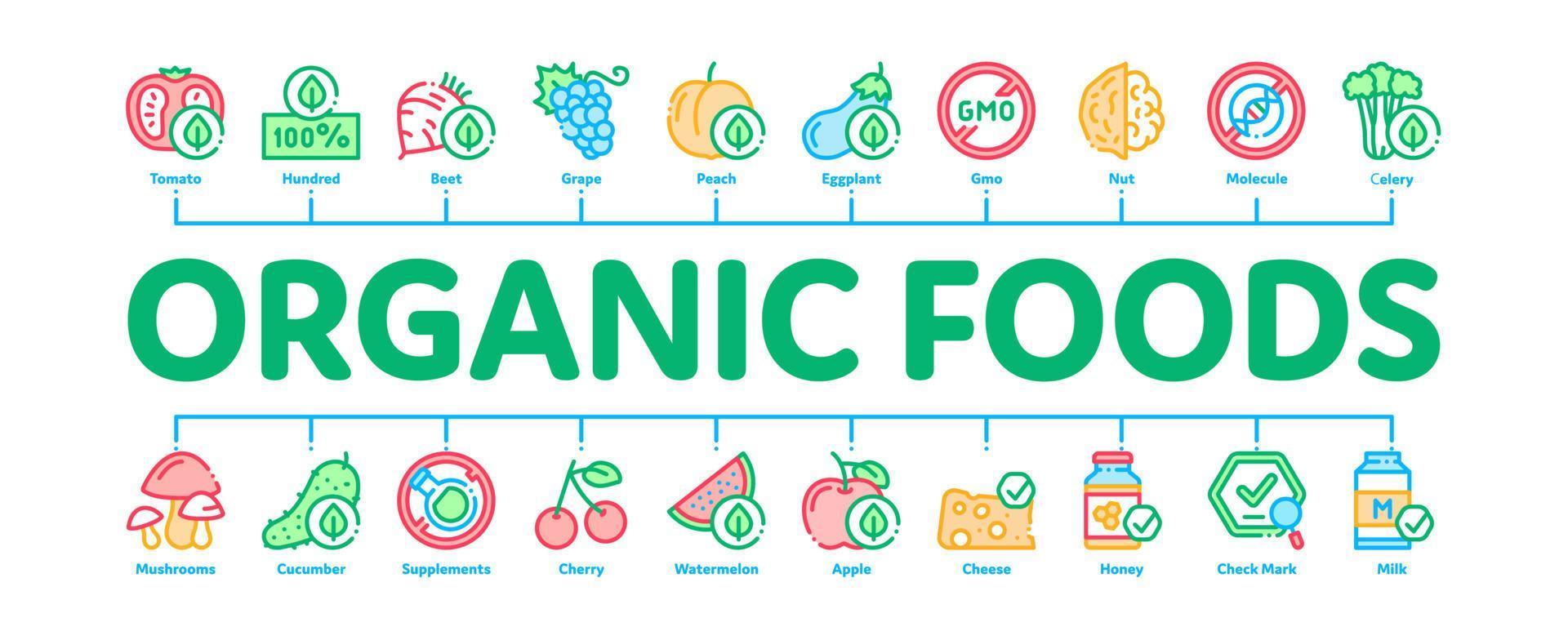 vecteur de bannière infographique minimal d'aliments écologiques biologiques