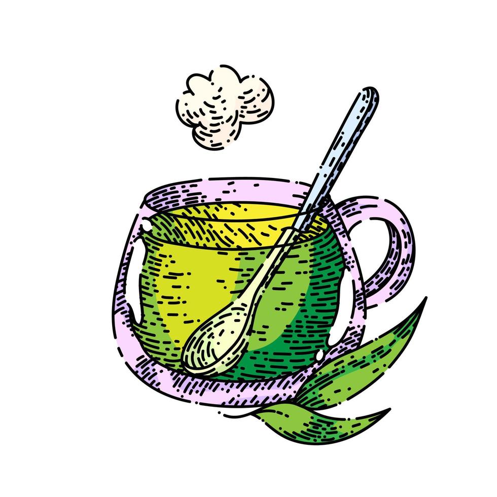 thé vert croquis vecteur dessiné à la main