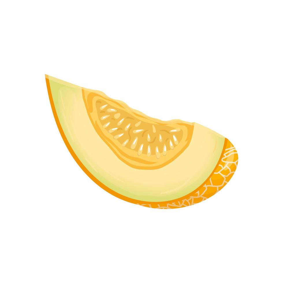 illustration vectorielle de melon tranche jaune dessin animé vecteur