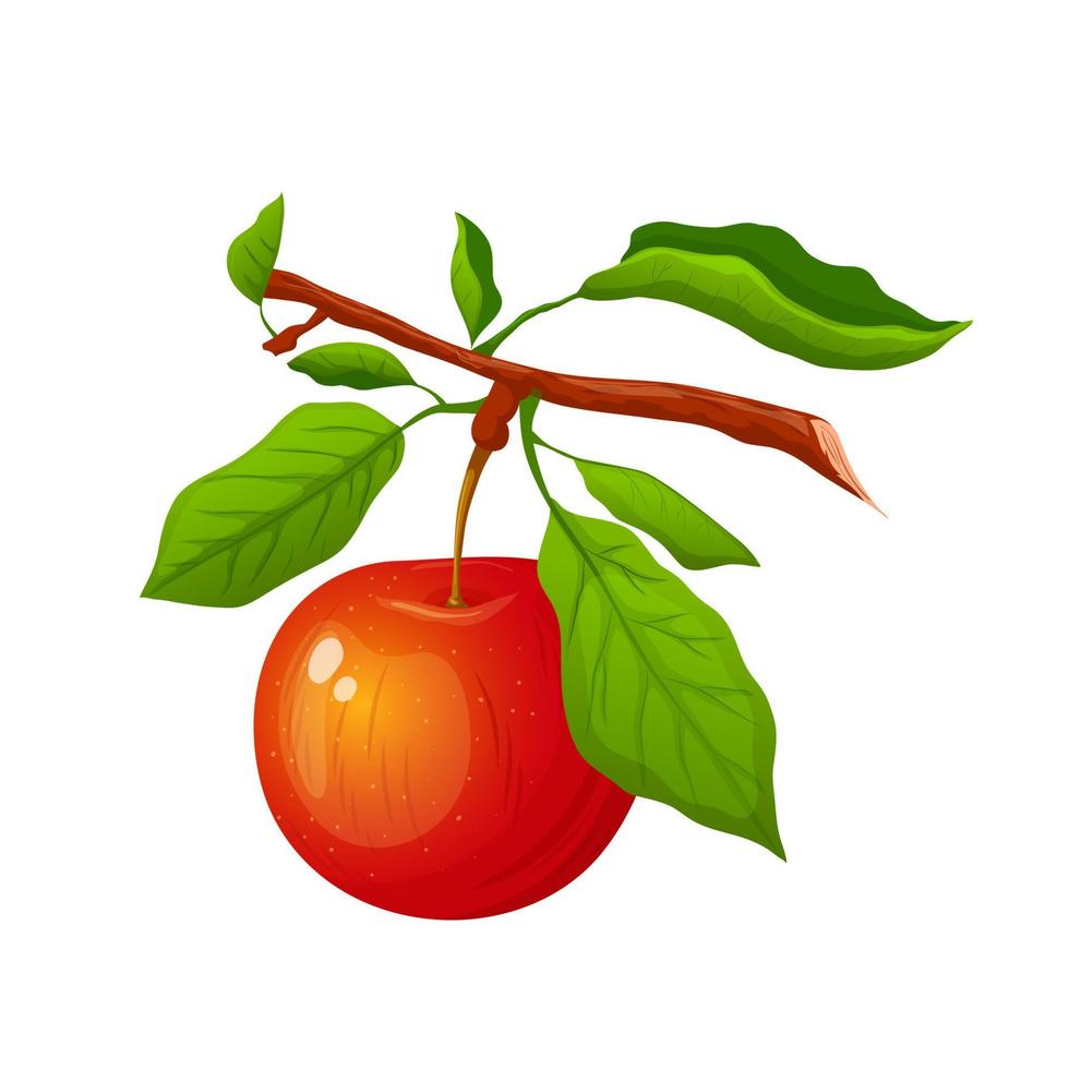 illustration vectorielle de pomme branche dessin animé vecteur