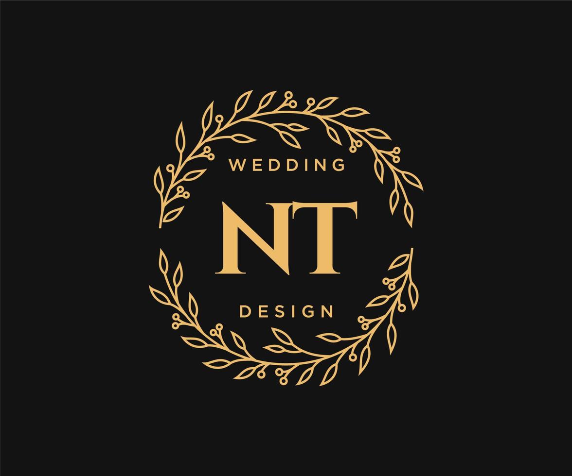 nt initiales lettre mariage monogramme logos collection, modèles minimalistes et floraux modernes dessinés à la main pour cartes d'invitation, réservez la date, identité élégante pour restaurant, boutique, café en image vectorielle vecteur