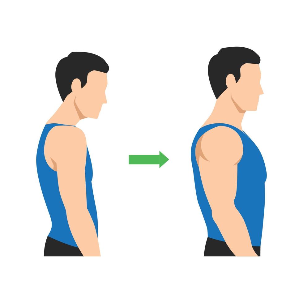 homme musclé et maigre, concept de perte de poids. homme avant et après l'entraînement avec une meilleure posture du dos. illustration de vecteur plat isolé sur fond blanc