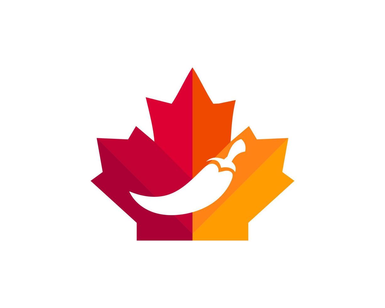 création de logo de piment d'érable. logo piment canadien. feuille d'érable rouge avec vecteur de concept de piment