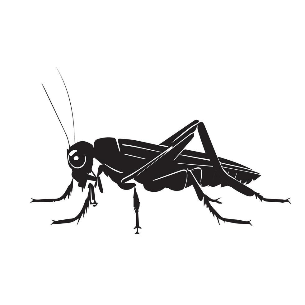 icône de vecteur noir et blanc sauterelle. illustration de bogue simple minimale. insecte silhouette noire