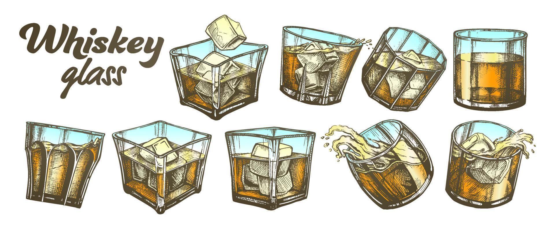 collection de couleurs ensemble de verres à whisky irlandais classique vecteur