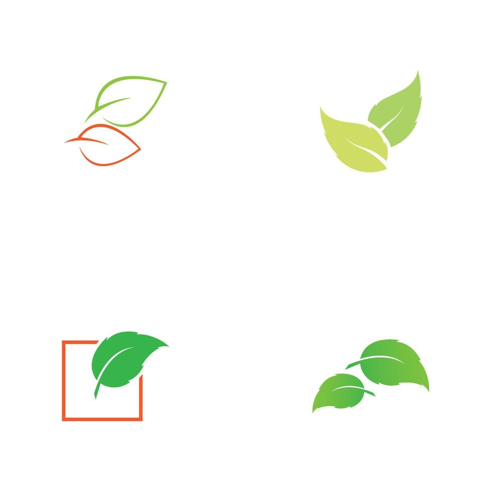 création de logo vectoriel feuille d'arbre, concept écologique