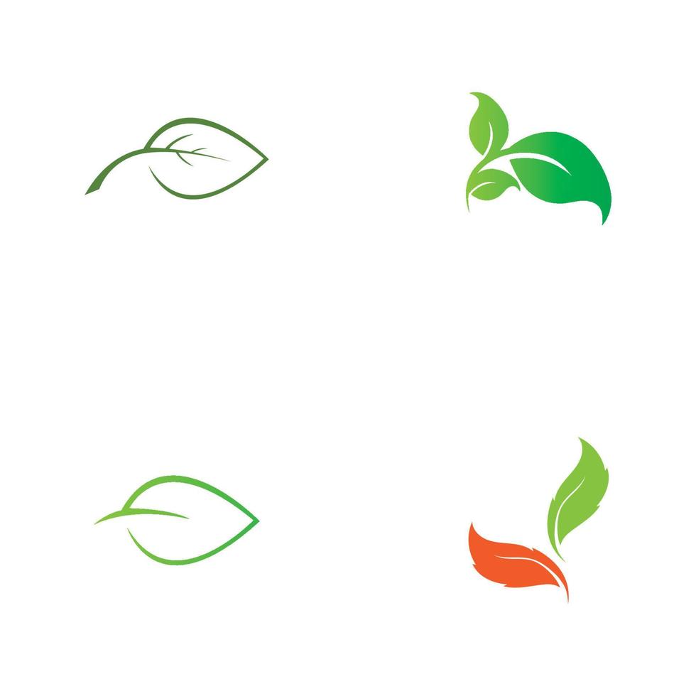 création de logo vectoriel feuille d'arbre, concept écologique