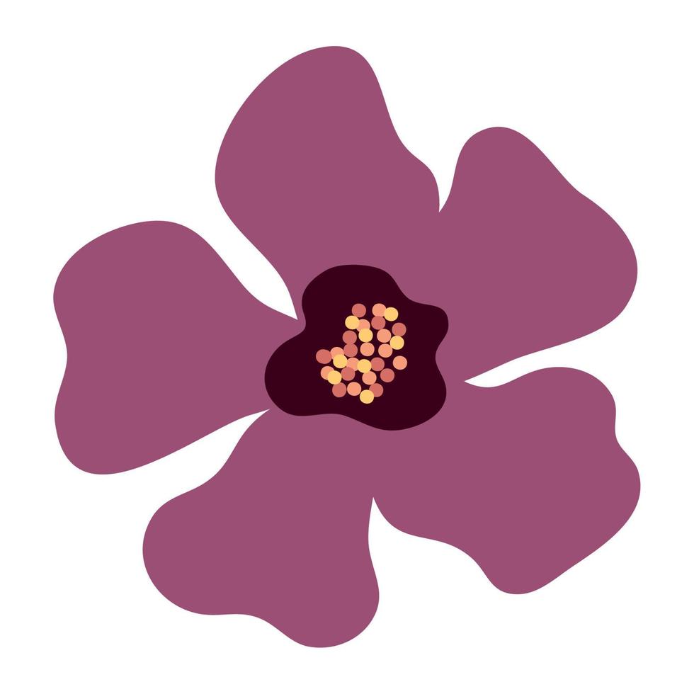 jolie fleur violette, sur fond blanc vecteur