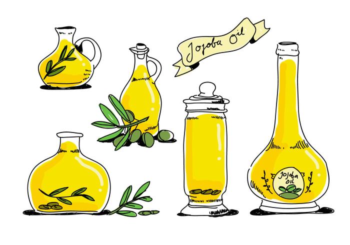 Bouteille d'huile de jojoba dessinés à la main vector illustration