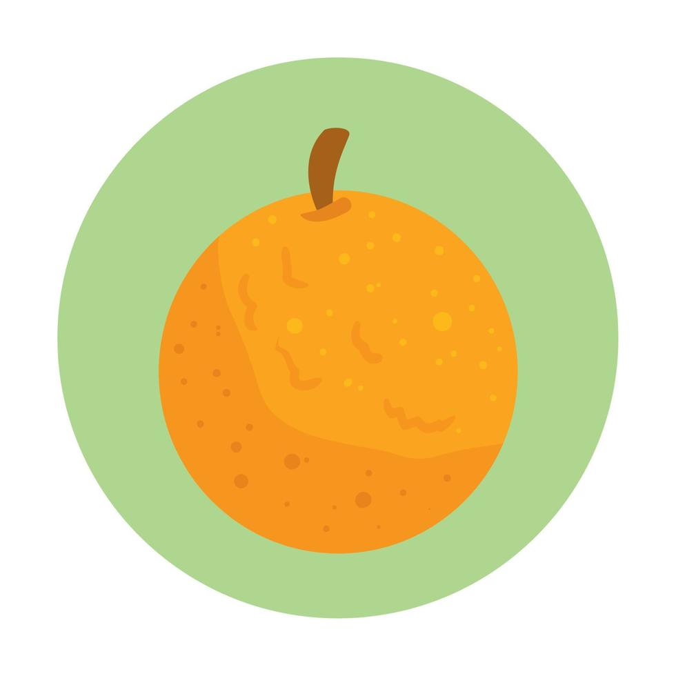 fruit orange frais et sain sur cadre rond vecteur