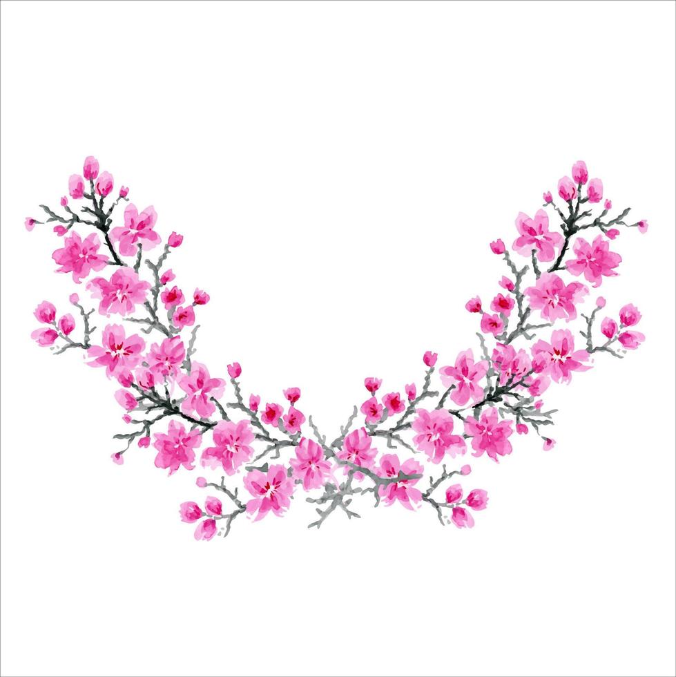 fleurs de sakura. cerisier japonais. couronne bouquet de fleurs clipart floral aquarelle. vecteur