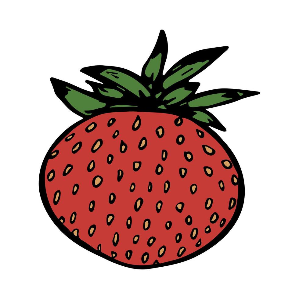 vecteur clipart fraise. icône de baies dessinées à la main. illustration de fruits. pour l'impression, le web, le design, la décoration