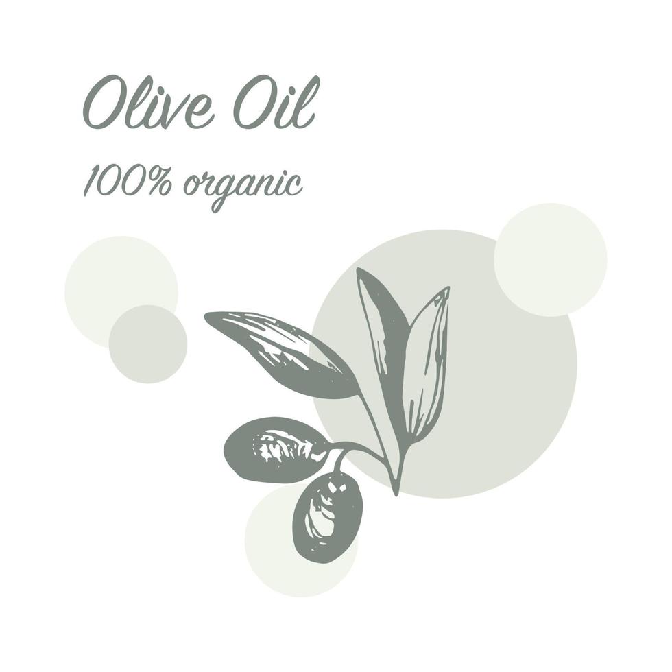 arrangements d'olives en vecteur