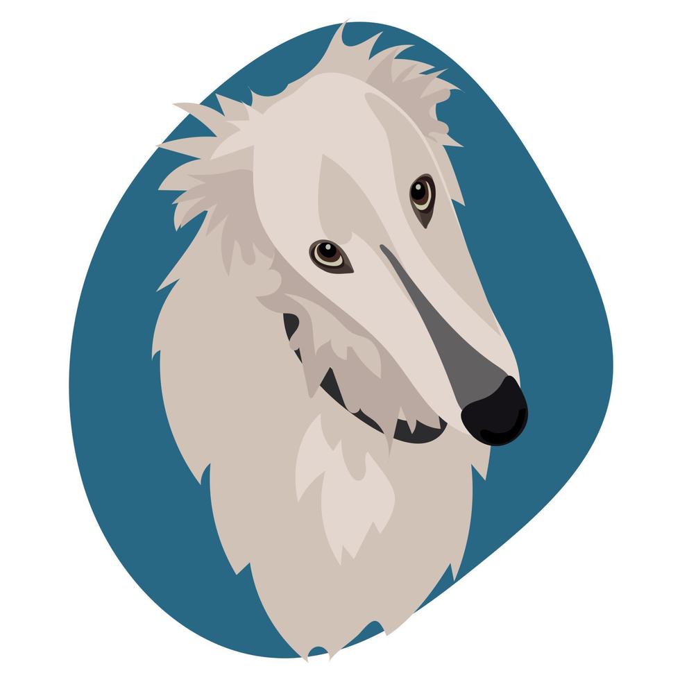 illustration d'un lévrier long sur fond bleu. afghan hound, un lévrier russe. chien blanc, portrait d'un chien. impression sur papier et textile vecteur