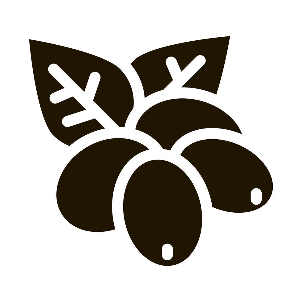 illustration de glyphe de vecteur d'icône de grains de café naturels