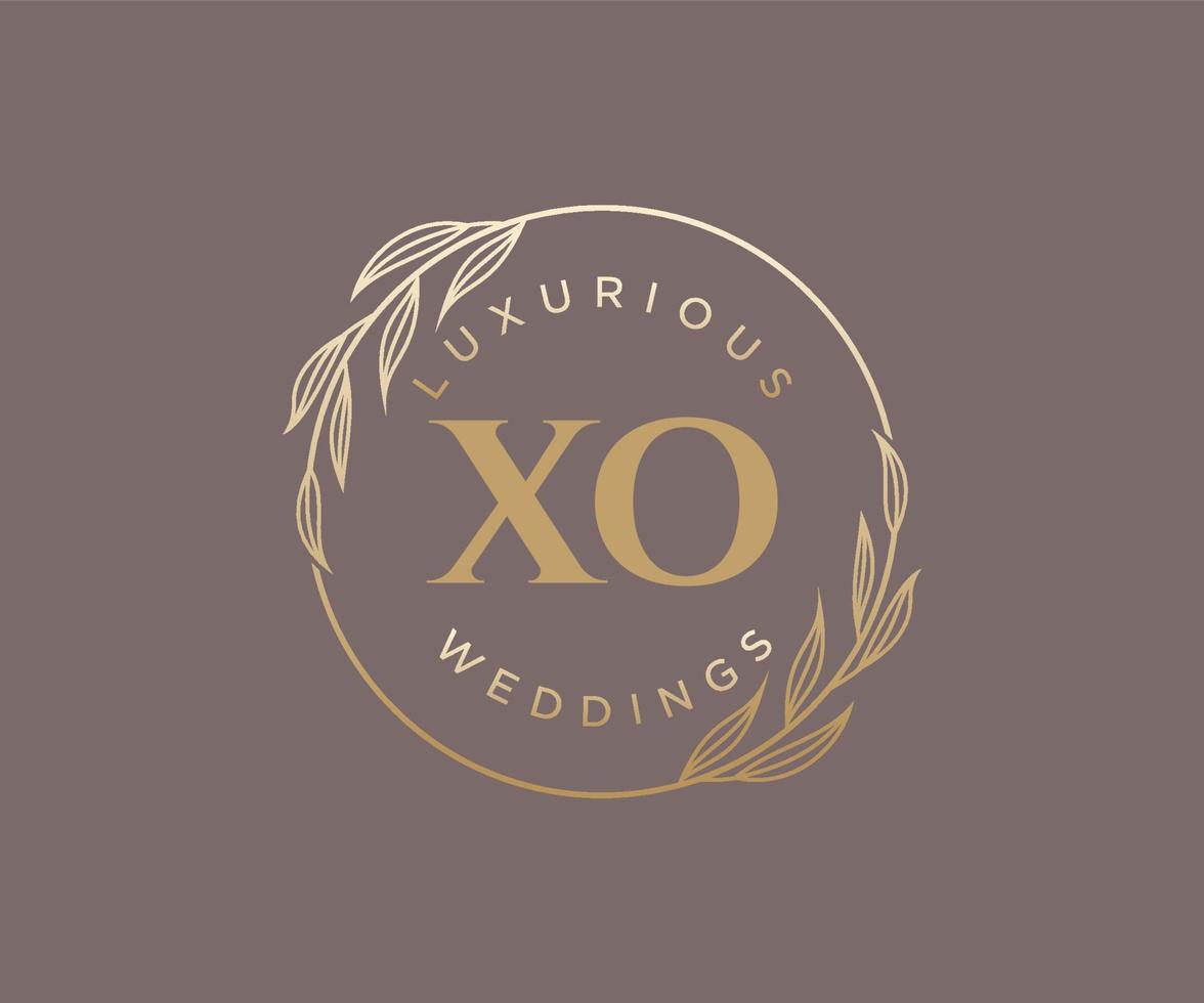modèle de logos de monogramme de mariage lettre initiales xo, modèles minimalistes et floraux modernes dessinés à la main pour cartes d'invitation, réservez la date, identité élégante. vecteur