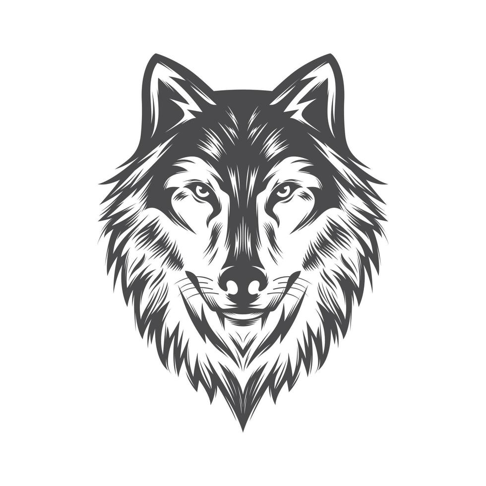 illustration vectorielle de tête de loup. vecteur de stock de logo vintage de loup.