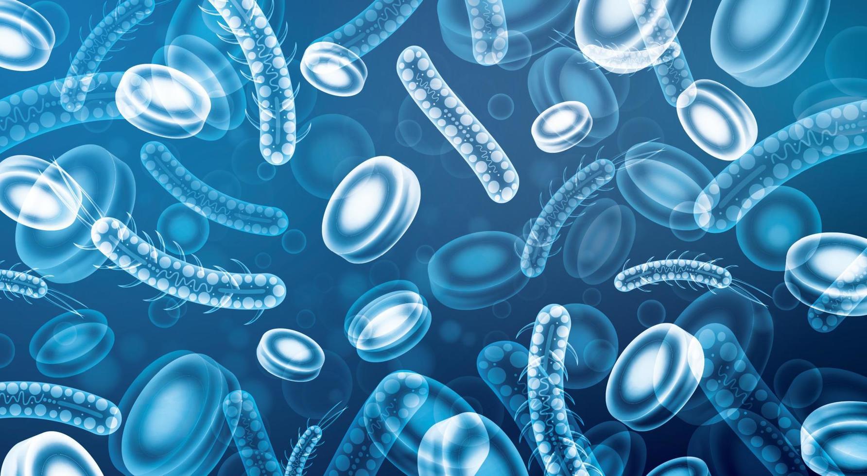 cellules sanguines microscopiques et organismes bactériens. illustration vectorielle. vecteur