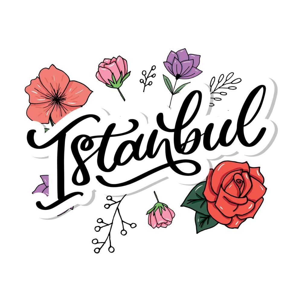 Istanbul. lettrage à la main. logo vectoriel d'istanbul en couleur noire avec mouettes sur fond blanc. produits souvenirs, emblème de bannière, blog de voyage médias sociaux, brochure, dépliant. illustration numérique.