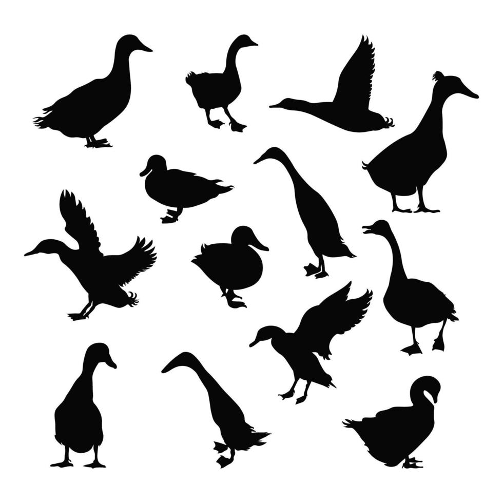ensemble de silhouettes d'animaux de canard différents styles vecteur