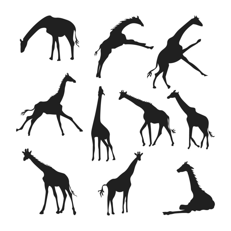 ensemble de silhouettes d'animaux girafe de différents styles vecteur