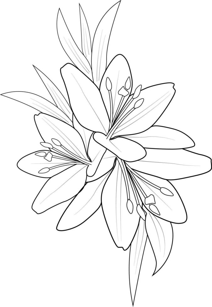 bouquet de fleurs de griffonnage de dessin au trait, joli design. art de croquis facile de fleur de pivoine, bouque d'art en ligne d'illustration dessinée à la main de fleur de lys, doodle zentangts de le, page de coloriage de dessin de tatouage, vecteur