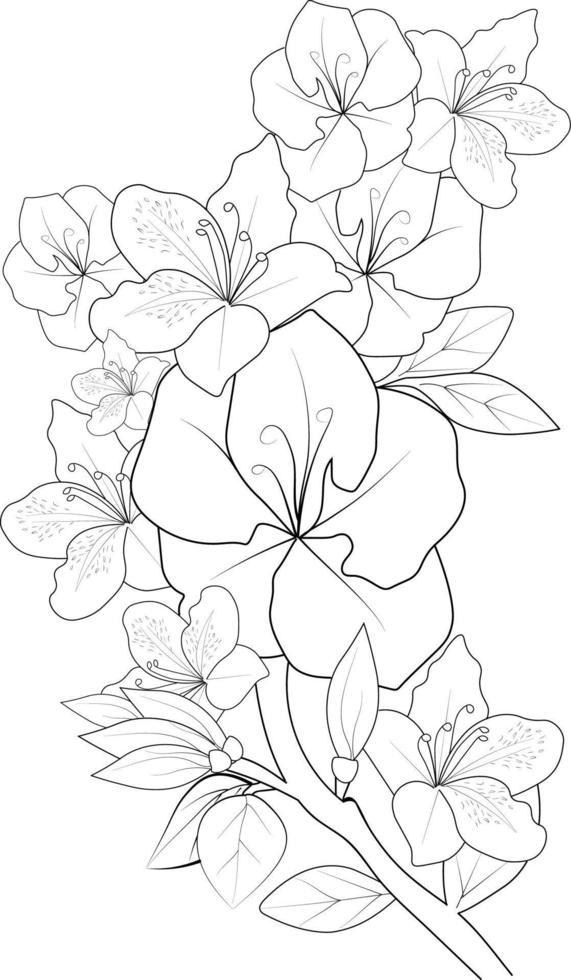 croquis d'illustration bouquet de contour de fleurs d'azalée branche vecteur page de coloriage pour adultes, isolé sur fond blanc.