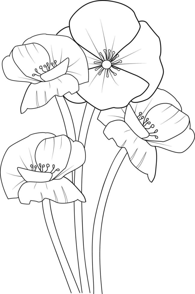 fleur de pavot isolée dessinée à la main illustration de croquis vectoriel, branche de collection botanique de bourgeons de feuilles collection naturelle page de coloriage bouquets de fleurs gravé art à l'encre. vecteur