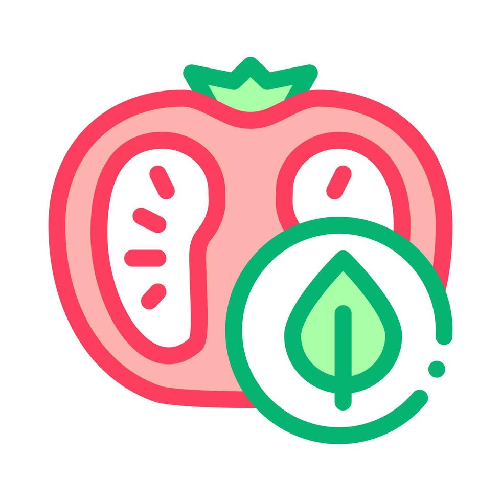 illustration de contour vectoriel icône feuille de tomate