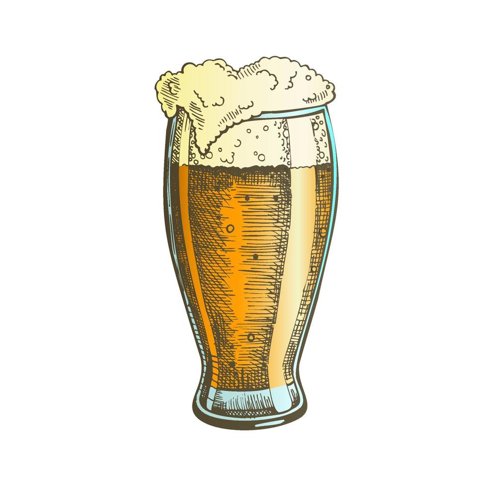 verre dessiné à la main de couleur avec vecteur de bière à bulles de mousse