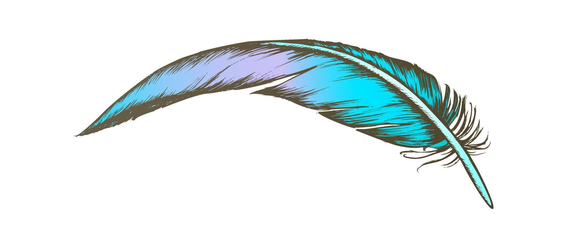 vecteur vintage de plume d'élément externe d'oiseau perdu de couleur