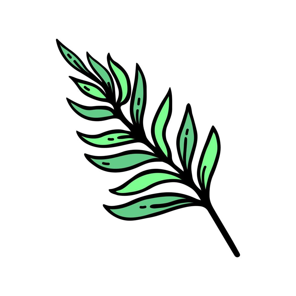 icône de vecteur de branche de fougère verte. doodle simple d'une brindille d'été avec des feuilles. illustration dessinée à la main isolée sur blanc. une plante forestière sauvage, herbe médicinale. clipart de dessin animé plat pour cartes, affiches, web