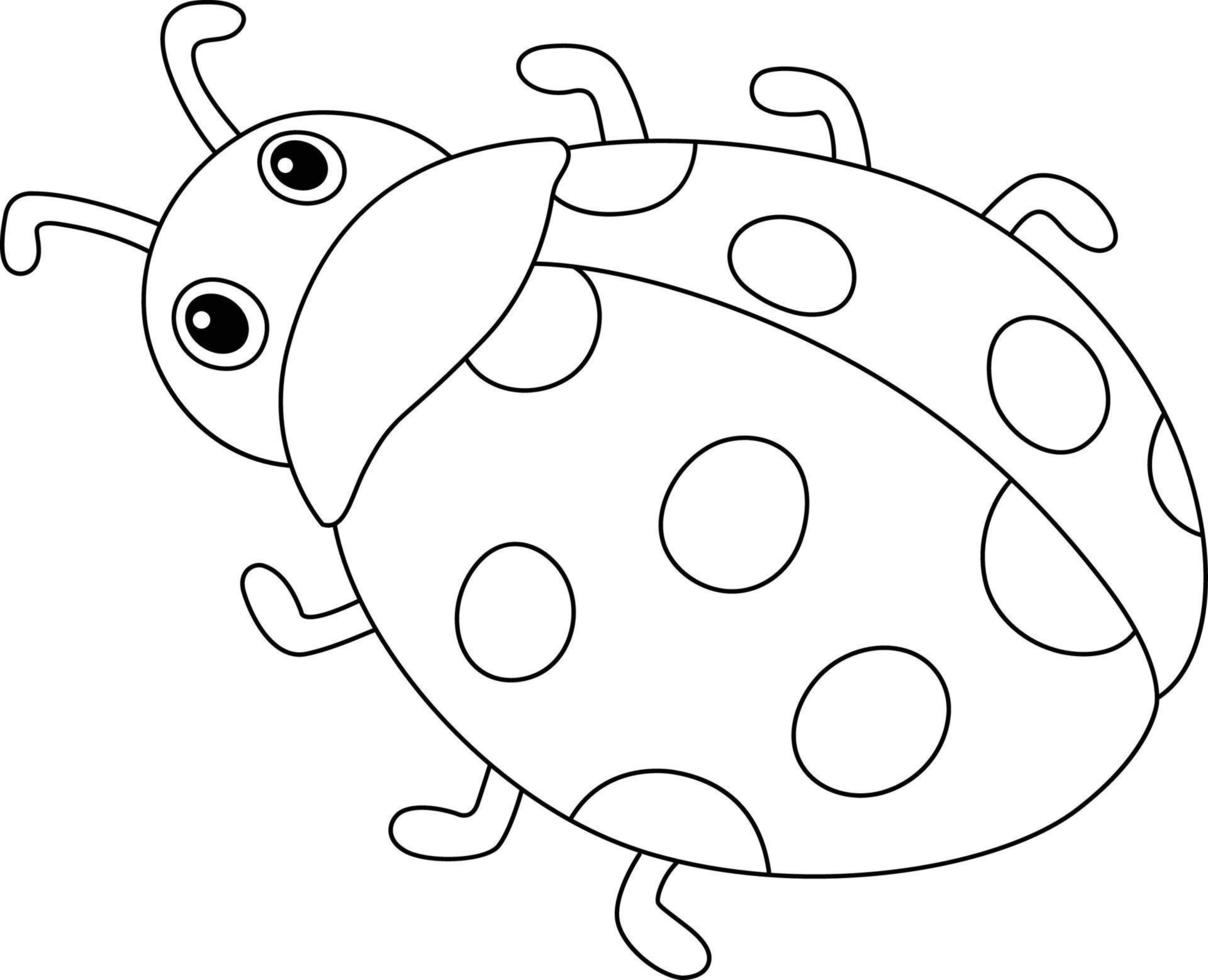 Coloriage printemps coccinelle isolé pour les enfants vecteur