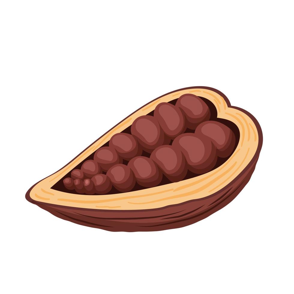 vecteur de dessin animé de fève de cacao