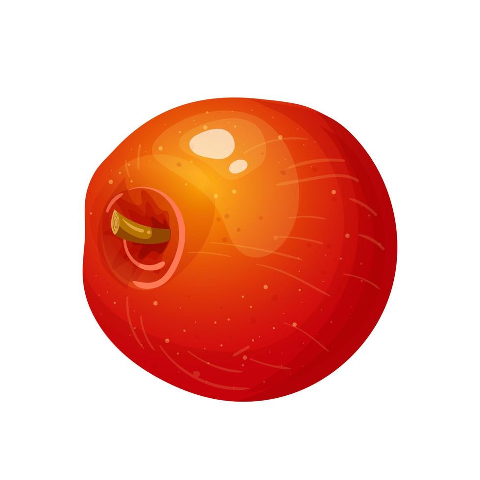 illustration vectorielle de pomme rouge dessin animé vecteur